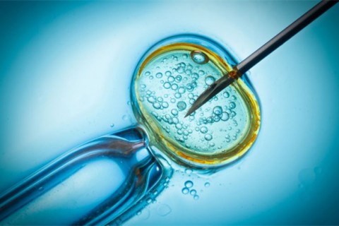 http://shenyang.qqkaixin.com/post/199.html|沈阳供卵助孕