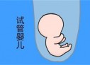 沈阳代怀孕初期孕酮值为13ngml，医生说偏低，那正常值是多