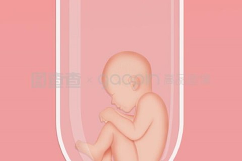 http://shenyang.qqkaixin.com/post/188.html|沈阳新闻中心